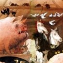 우화농장 이미지