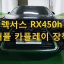 태풍카모터스 이미지