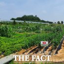 이경민농장 이미지