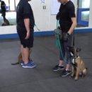 서초중앙로8길 89-2 이미지