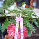 새명약국 이미지