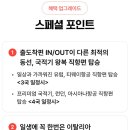 프라우 티스토리