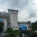 강동초장 | 순천 일식집 &#34;강동일식&#34; 참치 맛집 사시미코스 솔직 후기