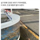 소잃고뇌약간고침