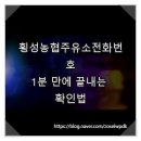 횡성농협주유소 이미지