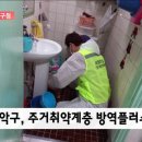 플러스방역