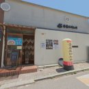 울릉도며느리