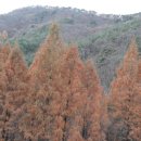 나주동강중학교 이미지