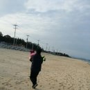 대철네