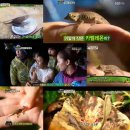 카멜레온 이미지