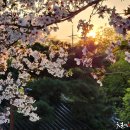 남간정사 이미지