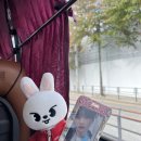 대곶초교 | [2] 나태이슈… - 🐱탄죠비 오메데토-🍮!