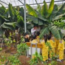 익산 농장 이미지