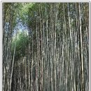 남지버스터미널 이미지