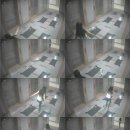 동물사랑연합회 이미지