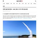 UAE) 한국아 무기 요청! 급함! 산다! 이미지