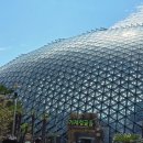 거제식물원 | 거제 식물원 정글돔 방문 후기 | 사계절 즐기는 실내 정글탐험