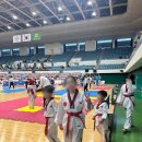 내체력 태권도장 이미지