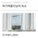 여기머물다
