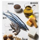 ▒ 오메가3 (Omega-3) 란 무엇인가? 이미지