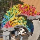 호수공원,중앙공원 이미지