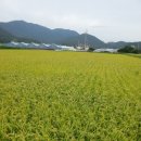 동진방앗간 이미지