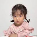 헬리콥터 책방