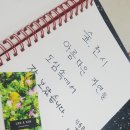 숲의 안부