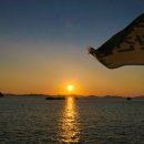 처연의 소리 이미지