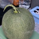 곽농장