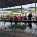 상무낚시터 이미지