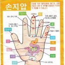 오장육부 이미지