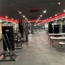 바이블 짐 이미지