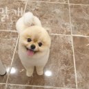 오늘도 맑개 이미지