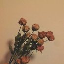 청년꽃집 - 2921 | 청년꽃집