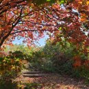 대곡초등학교 이미지