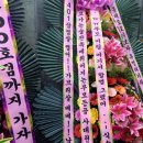 하하베베 이미지