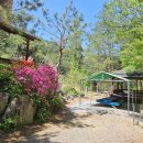 꿈꾸는 계곡 펜션 이미지