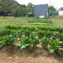 학림농장 이미지