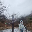 상양관광농원 | [영남알프스] 2025 영남알프스 완등 도전, 울산 울주, 운문산, 가지산, 연계산행, 주차정보, 쉬운코스...