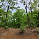 무수리마을회관 이미지