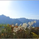 (완료) [한북정맥 10구간] 노고산-장명산-공릉천 ㅡ 졸업 및 송년산행 ㅡ 이미지