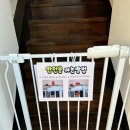 퍼피펍피 이미지