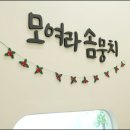 대구애견미용 모여라솜뭉치 이미지