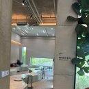 [전주카페] 전주 평화동 대형카페 추천 "모이라&amp;메종드로잉" 내돈내산 후기