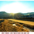 광양실내체육관 이미지