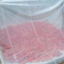 상순농장 이미지