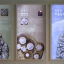 청송수석꽃돌박물관 이미지