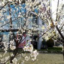 한국카메라박물관 이미지