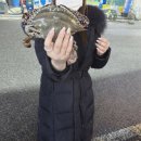 풍산시장 | 하남 풍산수산물시장 꽃게 내돈내산｜서비스 넉넉하고 제일 친절했던 곳 < 일오삼 수산 >